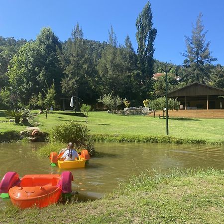 Quinta Da Vinha Do Souto Villa Arouca Kültér fotó