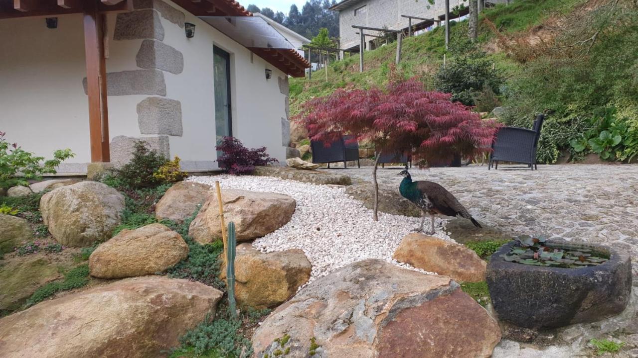 Quinta Da Vinha Do Souto Villa Arouca Kültér fotó