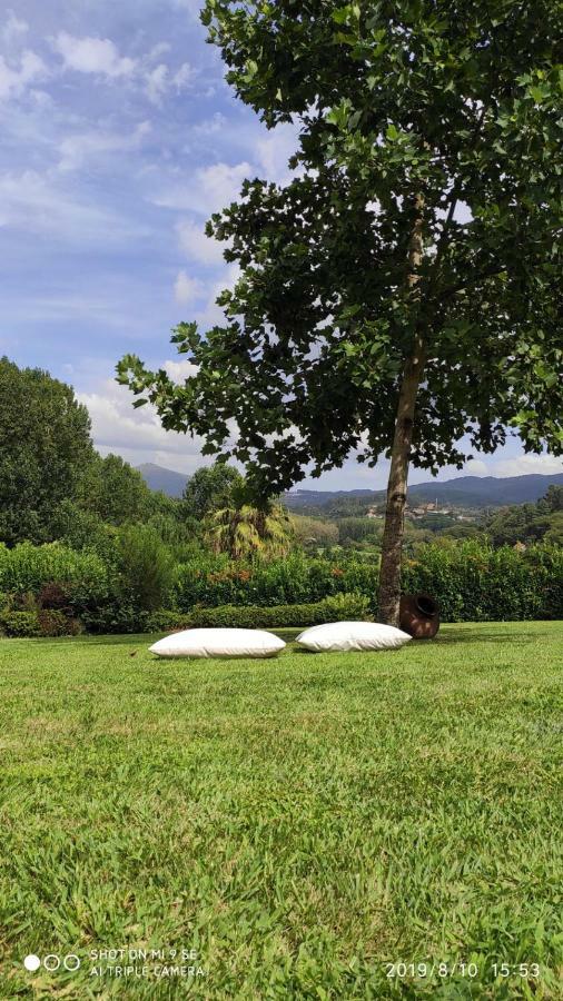 Quinta Da Vinha Do Souto Villa Arouca Kültér fotó